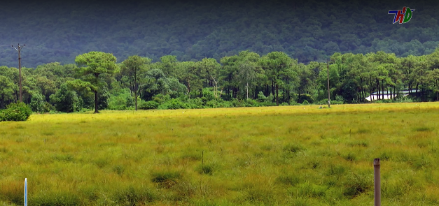 ĐIỂM HẸN HẢI DƯƠNG: Độc đáo bãi Rễ ở chân núi Côn Sơn